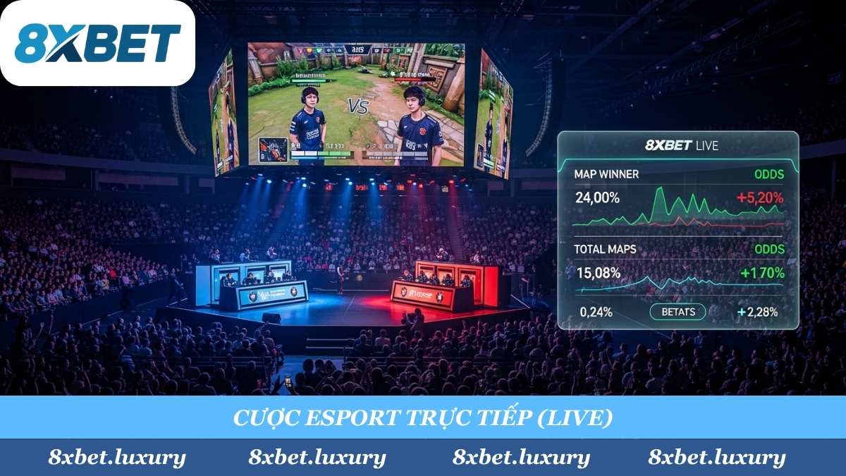 Sảnh Esport 8xbet "cân" tất cả các giải đấu lớn, từ CKTG (LOL), TI (Dota 2) đến Major (CS2), với bảng kèo "rung" (live) cập nhật từng giây.