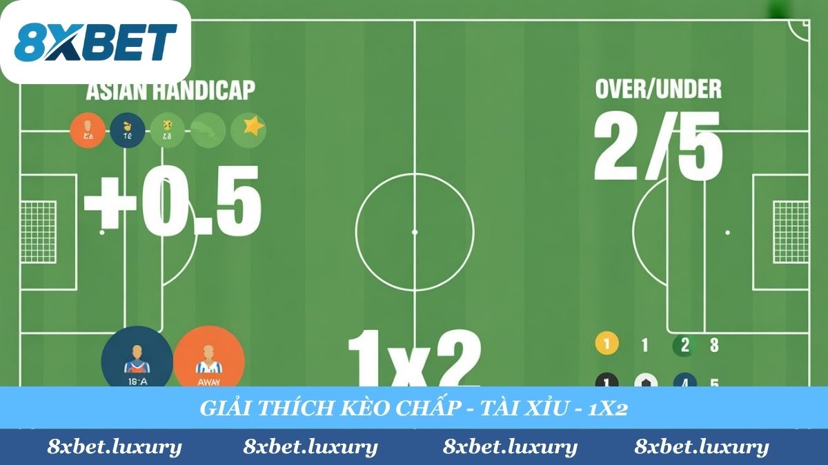 Hiểu rõ bản chất của từng loại kèo là chìa khóa chiến thắng. Cẩm nang A-Z của 8xbet sẽ "vẽ" ra cho bạn thấy Kèo Chấp, 1x2 và Tài Xỉu hoạt động như thế nào.